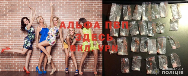 ПСИЛОЦИБИНОВЫЕ ГРИБЫ Няндома