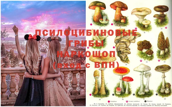 ПСИЛОЦИБИНОВЫЕ ГРИБЫ Няндома