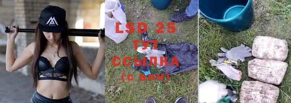 ПСИЛОЦИБИНОВЫЕ ГРИБЫ Няндома