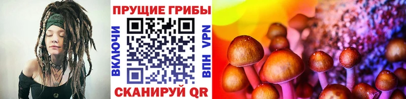 Галлюциногенные грибы мицелий  как найти закладки  Миллерово 