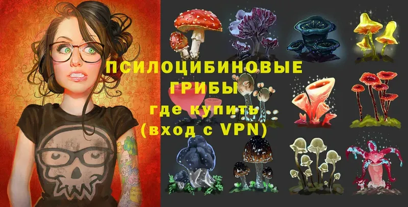 Галлюциногенные грибы Psilocybe  kraken сайт  Миллерово 