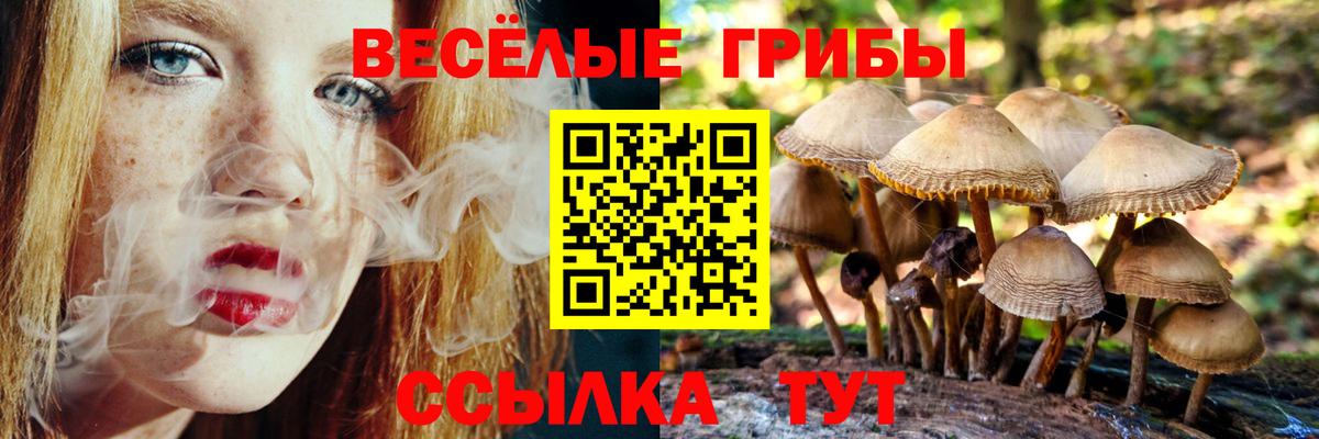 Псилоцибиновые грибы ЛСД Миллерово
