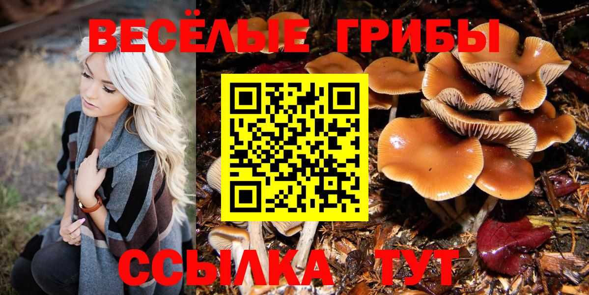 Галлюциногенные грибы мухоморы  Вход с VPN  Миллерово  Галлюциногенные грибы ЛСД 